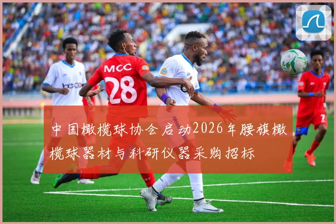 中国橄榄球协会启动2026年腰旗橄榄球器材与科研仪器采购招标