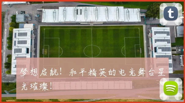 梦想启航！和平精英的电竞舞台星光璀璨！