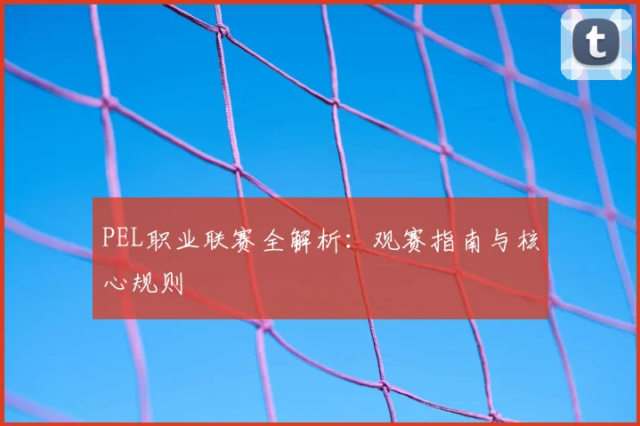 PEL职业联赛全解析:观赛指南与核心规则
