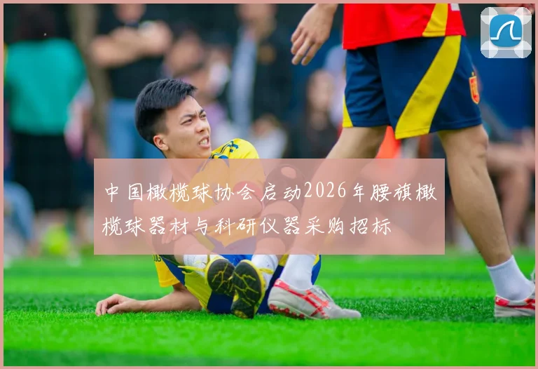 中国橄榄球协会启动2026年腰旗橄榄球器材与科研仪器采购招标