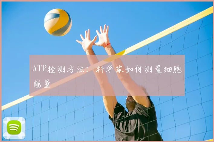 ATP检测方法：科学家如何测量细胞能量